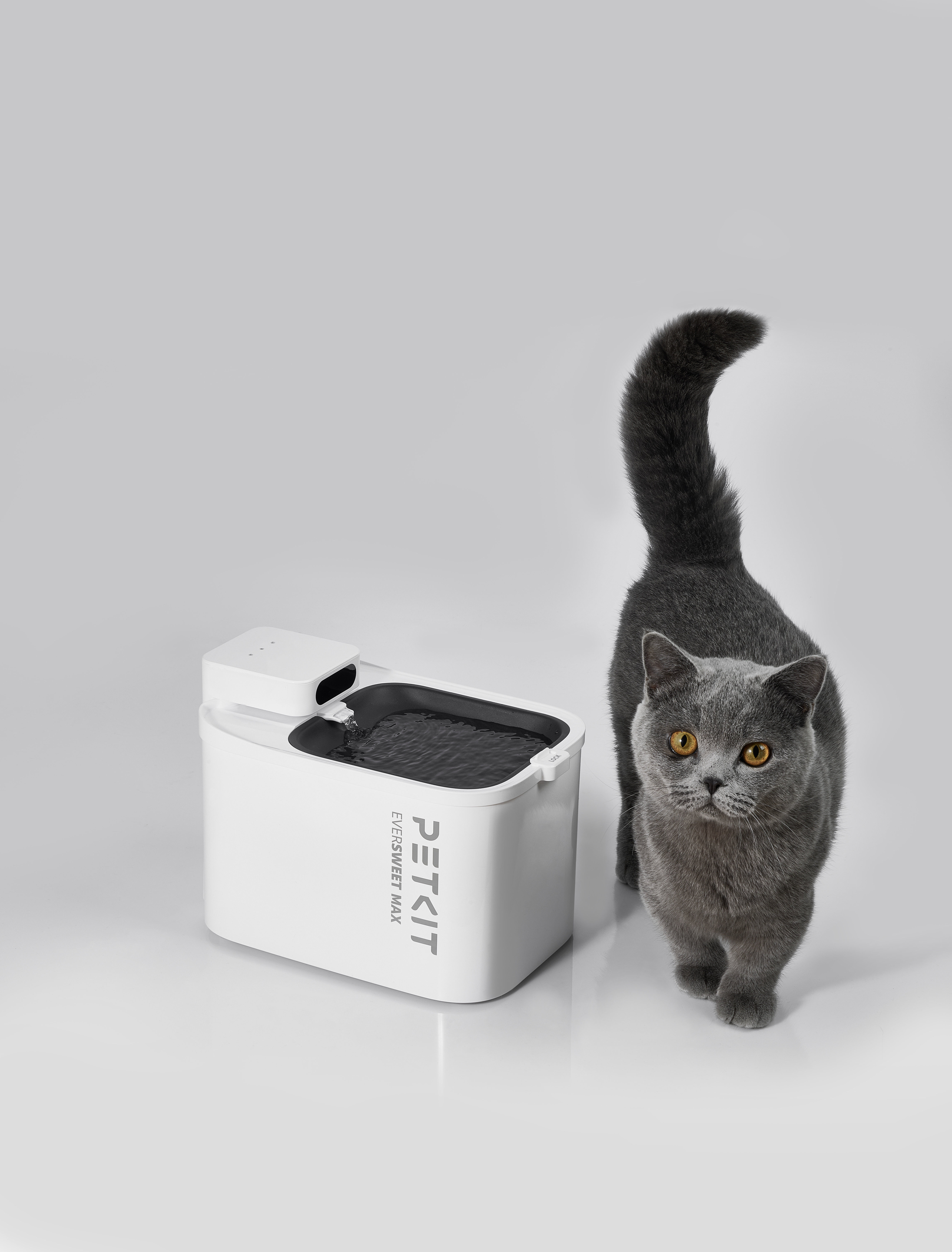 Petkit - Fontaine &agrave; Eau EVERSWEET MAX Connect&eacute;e pour Chiens et Chats - 3L Image num&eacute;ro 8