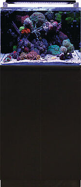 Blue Marine - Meuble Reef 120 Noir - 50x65x85cm
