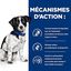 Hill's - Croquettes Prescription Diet I/D Stress Digestive Care Mini pour Chiens - 3Kg Indicateur image numéro 4