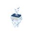 Ciano - Cartouches Water Clear & Protection - M (x1) Indicateur image numéro 2