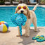Summer Vibes - Peluche Raie Manta Flottante et Sonore pour Chiens - 36cm Indicateur image num&eacute;ro 9