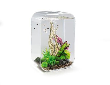 biOrb - Aquarium Life - 45 mcr transparent