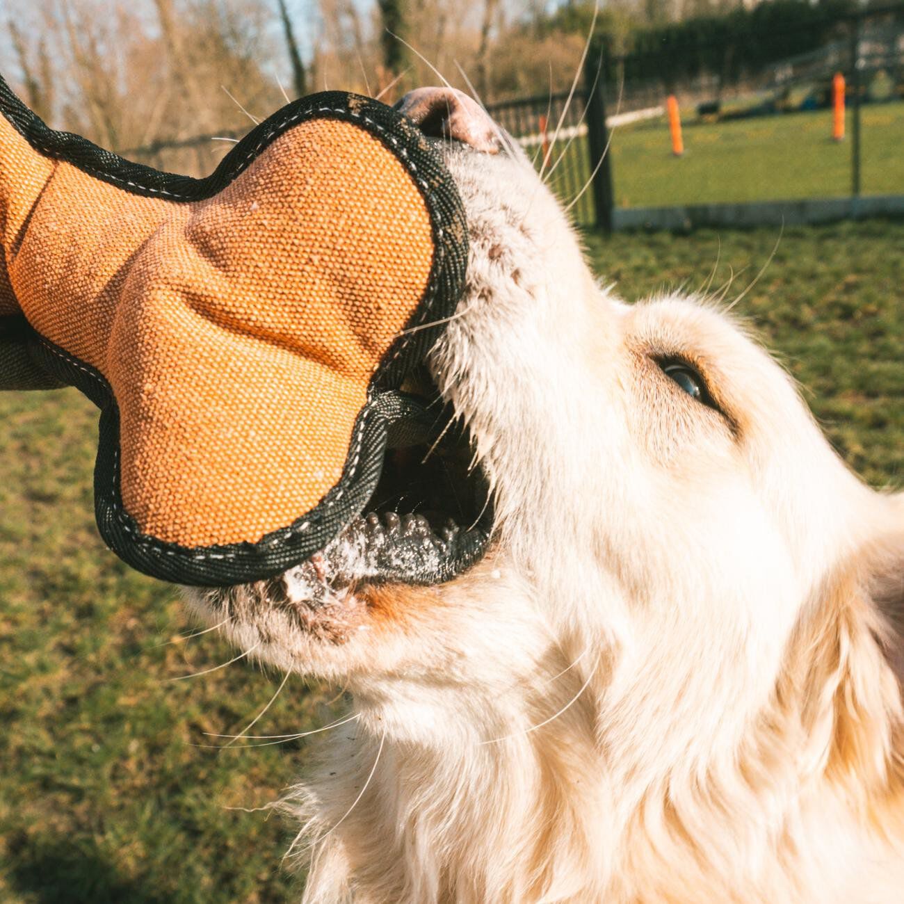 Duvoplus - Jouet Canvas os Multicolore - 12 x 14 x 24 cm Image num&eacute;ro 3