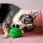 KONG - Jouet Balle Spin Squeezz Orbitz pour Chiens - M/L Indicateur image numéro 5