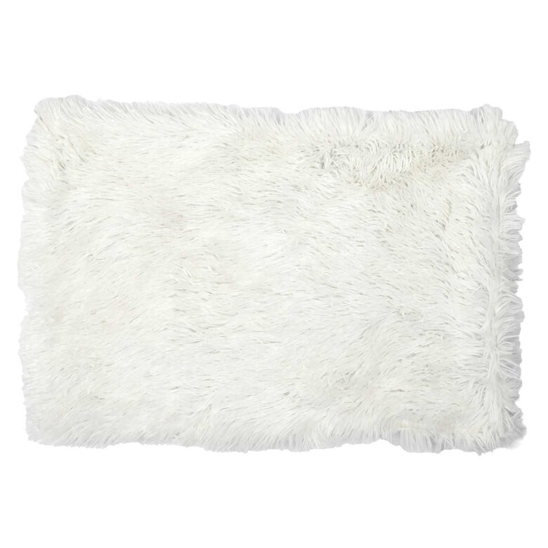 The Concept Factory - Tapis Déco + Couchage pour Chiens et Chats - 40x60cm Image numéro 7 The Concept Factory - Tapis Déco + Couchage pour Chiens et Chats - 40x60cm Image numéro 7