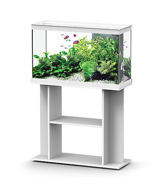 Aquadisio - Aquarium Alto 80cm - Blanc