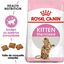 Royal Canin - Croquettes Kitten Sterilised pour Chaton - 2Kg Indicateur image numéro 1