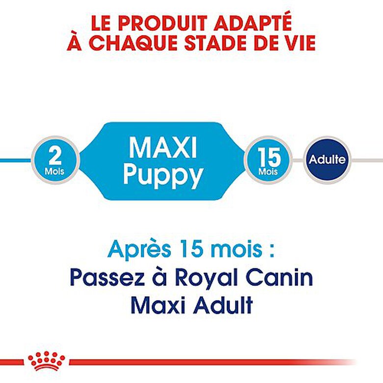 Royal Canin - Croquettes Maxi Puppy pour Chiot - 10Kg image number null