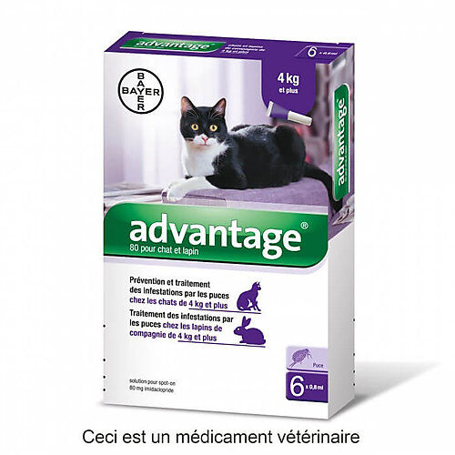 Advantage - Anti-puces 80 > 4Kg pour Chat - 6x0,8ml Image num&eacute;ro 1