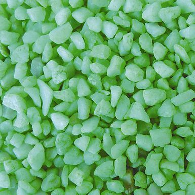 Aquadisio - Sable Vert Fluo en Doypack - 1Kg