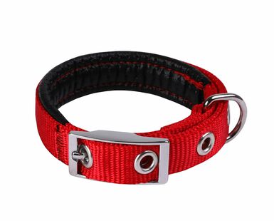 Animalis - Collier Basic Confort pour Chien Rouge