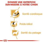 Royal Canin - Croquettes Cavalier King Charles pour Chien Adulte image number null