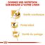 Royal Canin - Croquettes Cavalier King Charles pour Chien Adulte - 7,5Kg Indicateur image numéro 5