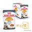 Royal Canin - Sachets Hair&Skin Gelée pour Chat - 12x85g Indicateur image numéro 2
