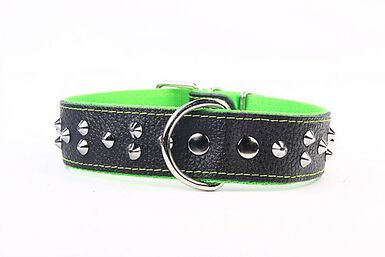 Yogipet - Collier Large Cuir Clouté pour Chien - Vert