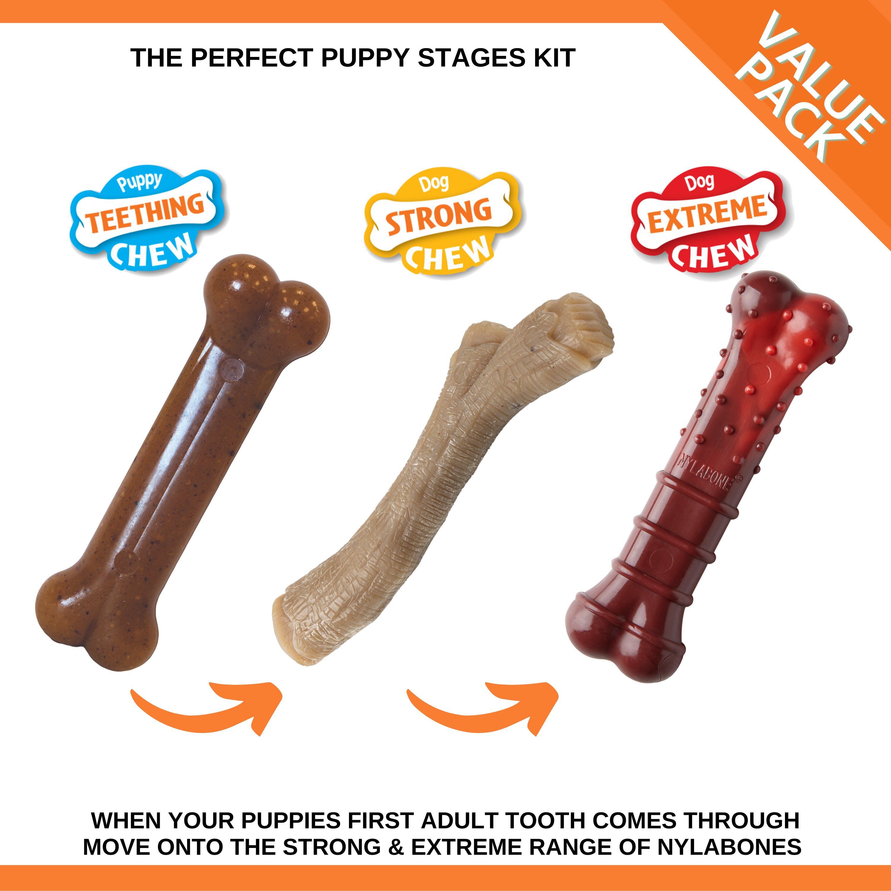 Nylabone - Jouet &agrave; M&acirc;cher  Puppy Stages Pack Poulet Bacon et B&oelig;uf - M Image num&eacute;ro 3