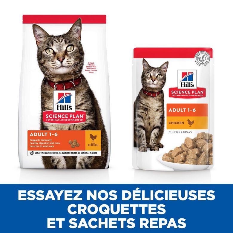 Hill's Science Plan - Adult Croquettes Pour Chat Au Poulet  -  1,5kg Image numéro 4 Hill's Science Plan - Adult Croquettes Pour Chat Au Poulet  -  1,5kg Image numéro 4