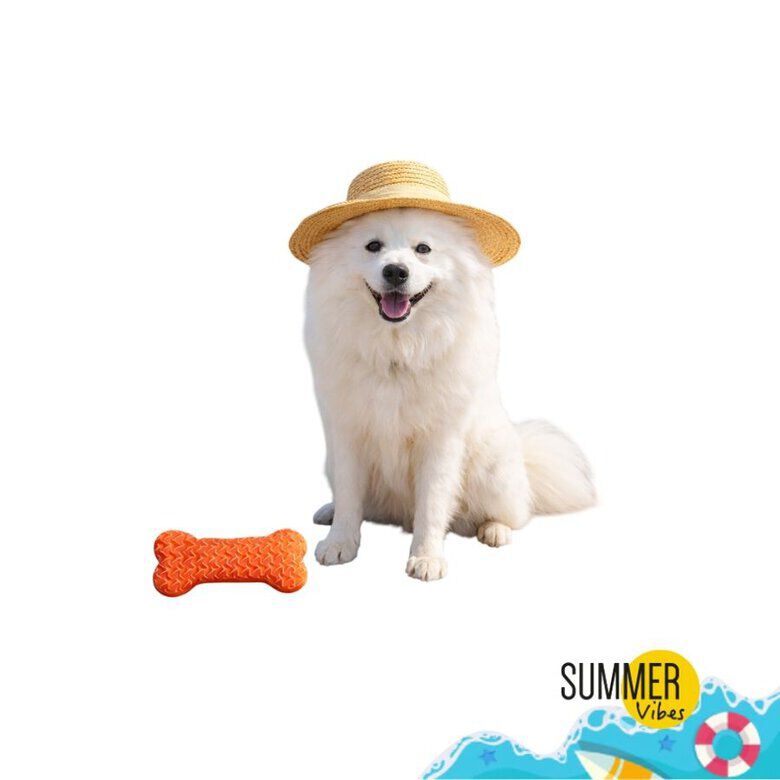Summer Vibes - Jouet Os Rafra&icirc;chissant pour Chiens - Orange Image num&eacute;ro 1