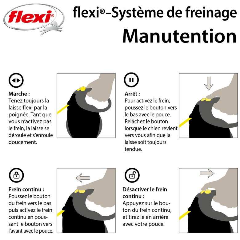 Flexi - Laisse Giant avec Sangle de 8m pour Chien M - Reflect Image numéro 6 Flexi - Laisse Giant avec Sangle de 8m pour Chien M - Reflect Image numéro 6