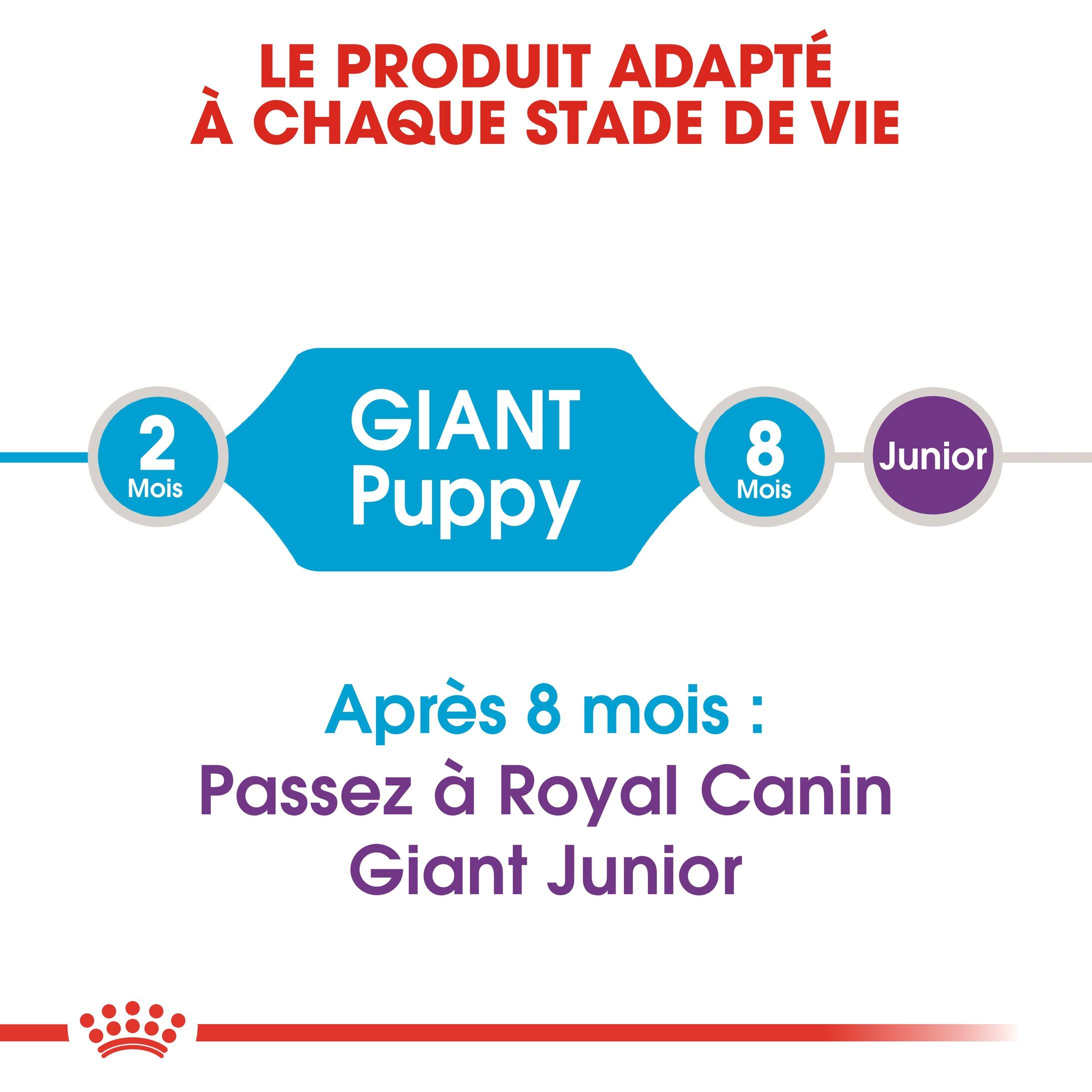 Royal Canin - Croquettes Giant Puppy pour Chiot - 15Kg Image num&eacute;ro 3