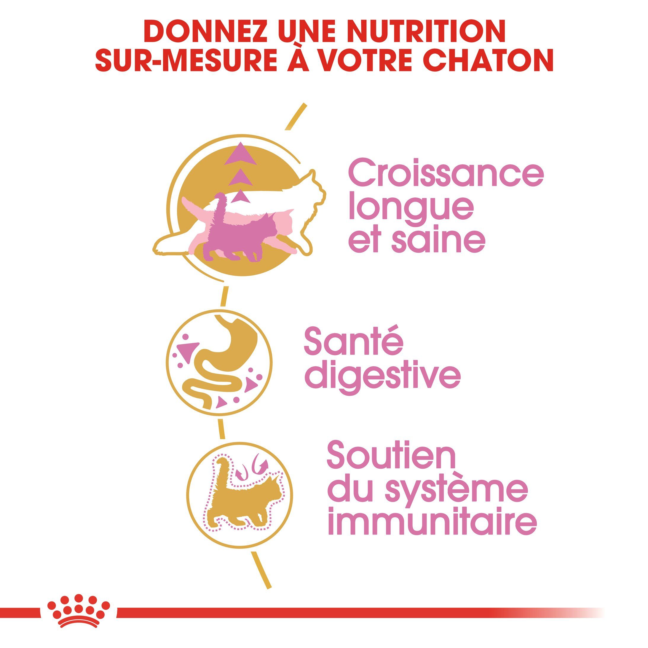 Royal Canin - Croquettes Maine Coon pour Chaton - 4Kg Image num&eacute;ro 4