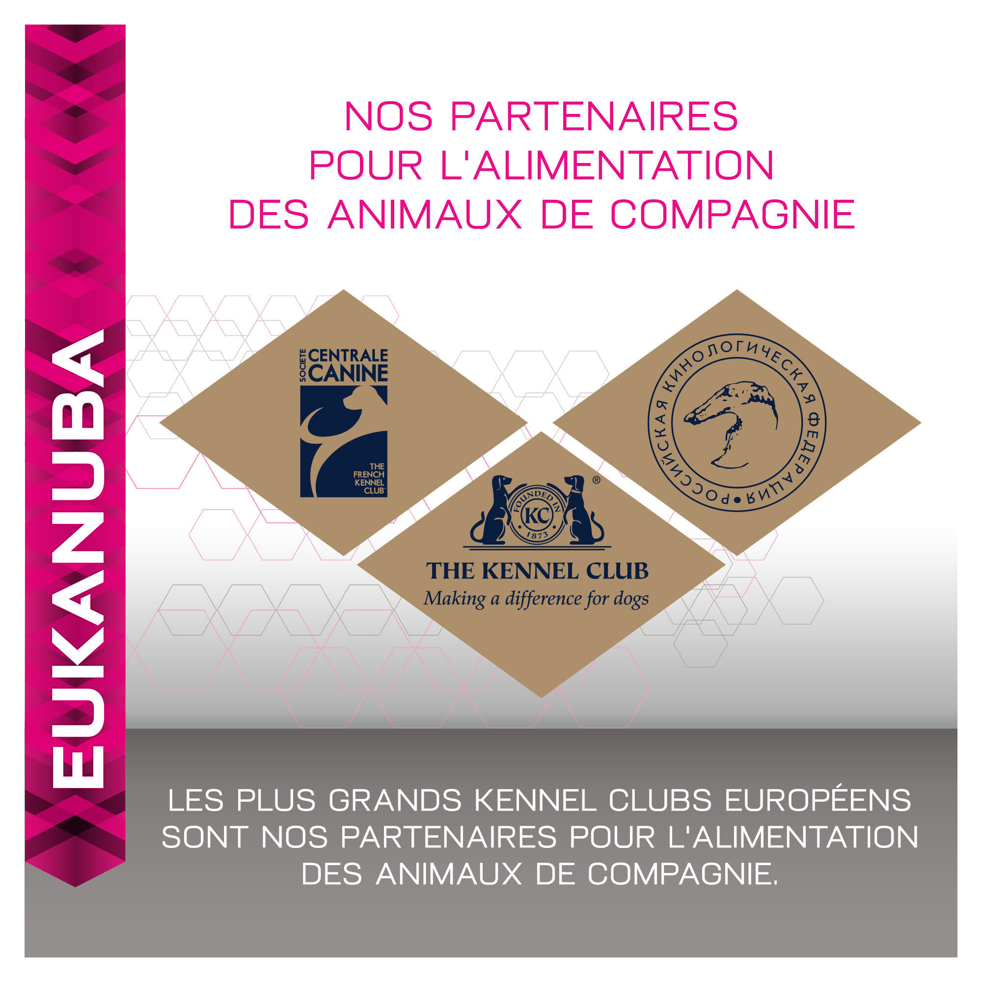 Eukanuba - Croquettes Breed Specific Golden Retriever Poulet - 12Kg Image num&eacute;ro 8