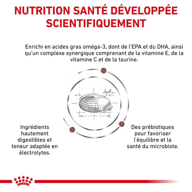Royal Canin - Croquettes Veterinary Diet Gastro Intestinal Low Fat Pour Chiens - 6kg Image num&eacute;ro 3