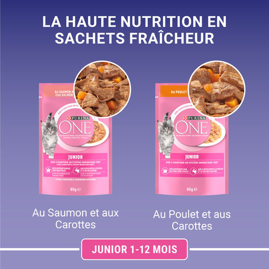PURINA ONE - Sachets Fraîcheurs en Sauce Saumon et Poulet pour