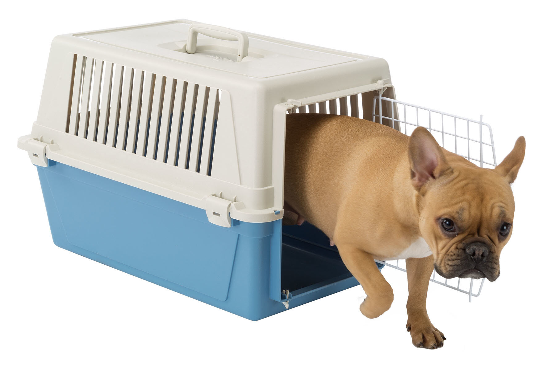 Ferplast - Panier de Transport Atlas 30 EL - Bleu Image num&eacute;ro 5