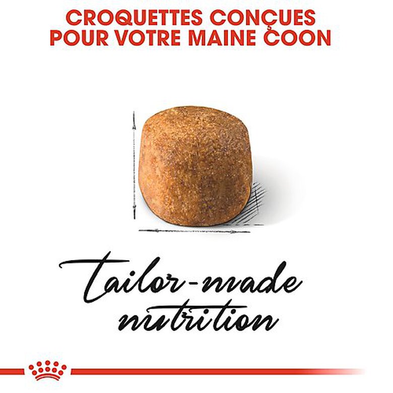Royal Canin - Croquettes Maine Coon pour Chat Adulte - 2Kg image number null