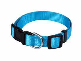 Animalis - Collier Basic pour Chien Bleu