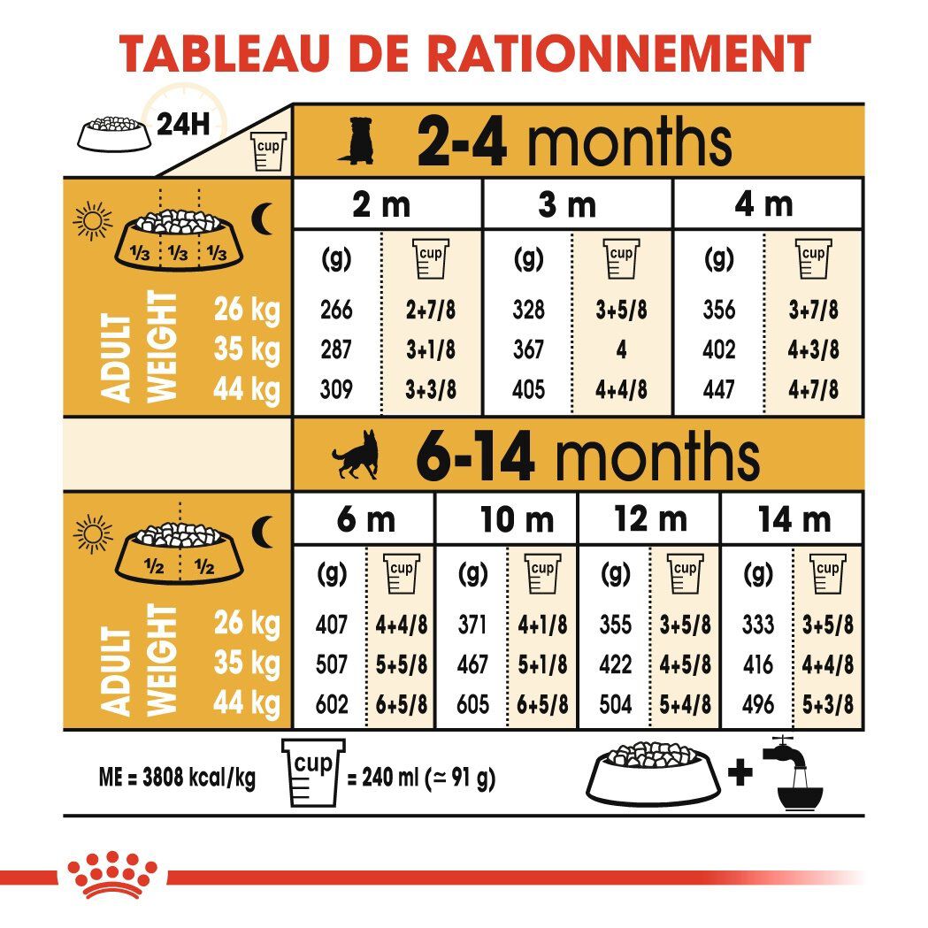 Royal Canin - Croquettes Berger Allemand Junior pour Chiot - 12Kg Image num&eacute;ro 7