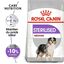 Royal Canin - Croquettes Medium Sterilised pour Chien Stérilisé - 3Kg Indicateur image numéro 1