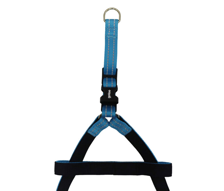 Gotoo - Harnais Essentials en Nylon Premium Bleu pour Chien - XS Image numéro 5 Gotoo - Harnais Essentials en Nylon Premium Bleu pour Chien - XS Image numéro 5
