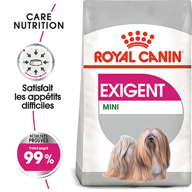 Royal Canin - Croquettes Mini Exigent Appétit Difficile Pour Chien