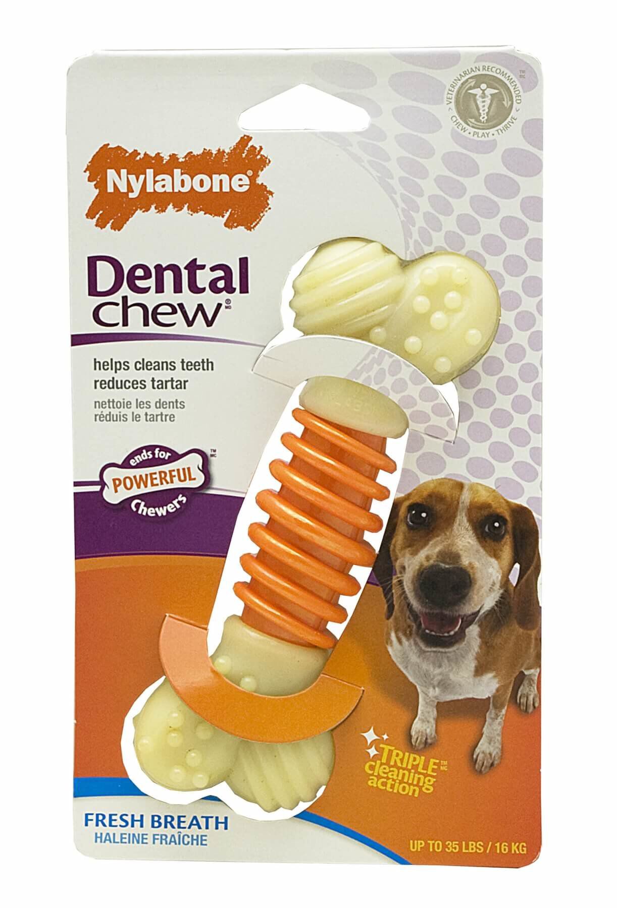Nylabone - Jouet Os Dental Chew Pro-Action pour Chien - M Image num&eacute;ro 1