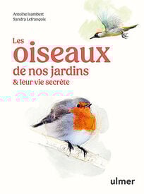 Les oiseaux de nos jardins