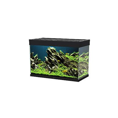 Ciano - Aquarium Emotions Nature Pro 80 - Noir