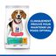 Hill's Science Plan - Adult Perfect Weight Croquettes Pour Chien Au Poulet  - 12Kg Indicateur image num&eacute;ro 2
