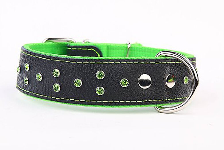 Yogipet - Collier Cuir Large Crystal T55 38/49cm pour Chien - Vert image number null