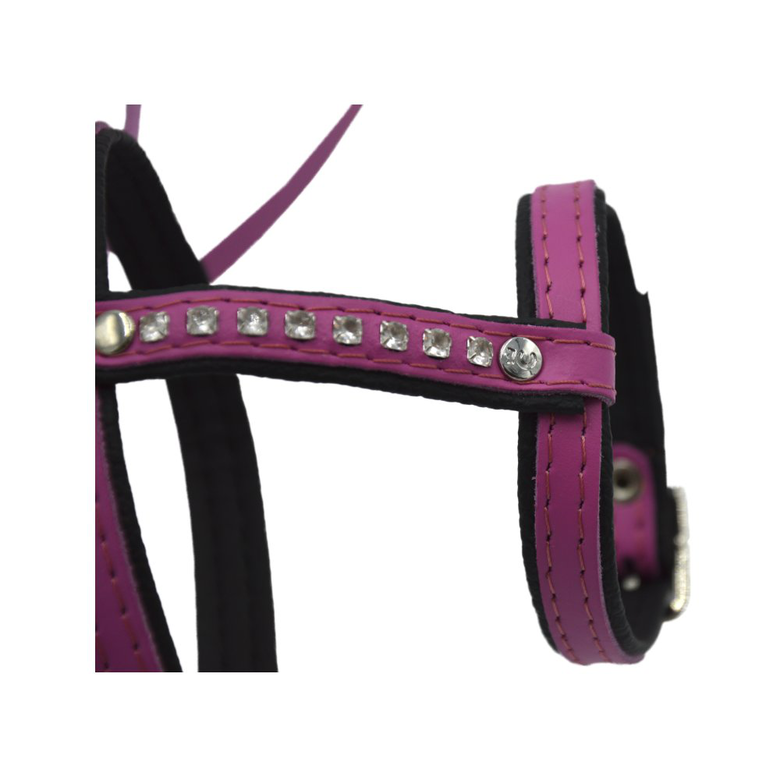 Comme Un Roi - Harnais et Laisse Cuir So Funky Rose pour Chat - TU Image numéro 2 Comme Un Roi - Harnais et Laisse Cuir So Funky Rose pour Chat - TU Image numéro 2