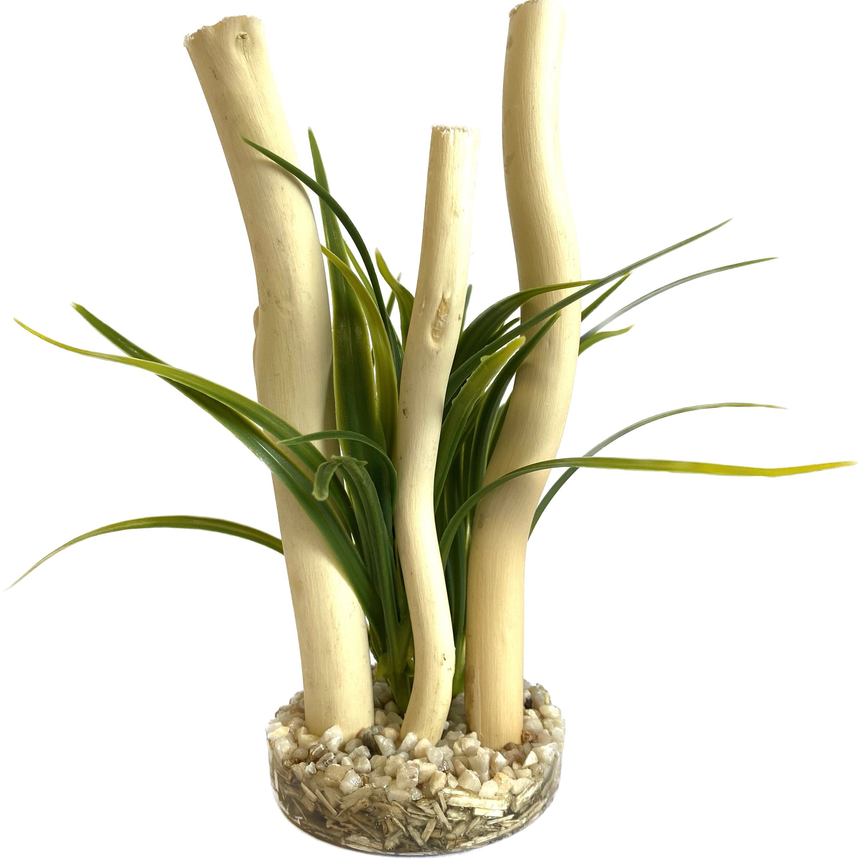 TYROL DECOR BRANCHES PLANTE Image num&eacute;ro 1