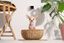 Petcube - Petcube Pet Cam pour Chiens et Chats - x1 Indicateur image num&eacute;ro 4