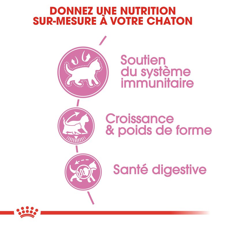 Royal Canin - Croquettes Kitten Sterilised pour Chaton - 400g Image numéro 4 Royal Canin - Croquettes Kitten Sterilised pour Chaton - 400g Image numéro 4