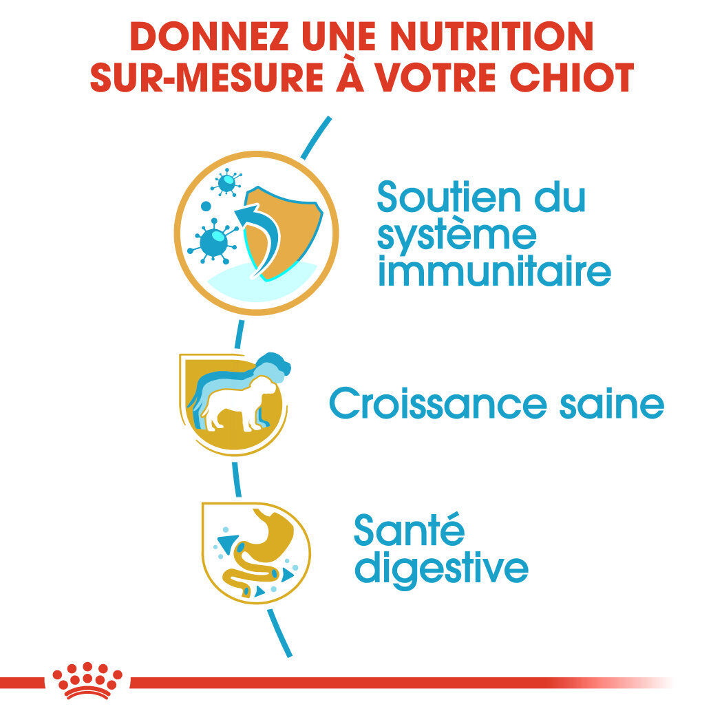 Royal Canin - Croquettes Jack Russell Junior - 3Kg Image num&eacute;ro 3