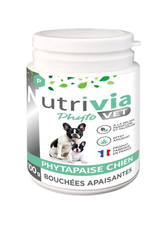 Nutrivia Vet - Bouchées Apaisantes Phytapaise pour Chiens - 100g Image numéro 1 Nutrivia Vet - Bouchées Apaisantes Phytapaise pour Chiens - 100g Image numéro 1