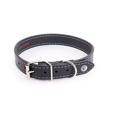 Martin Sellier - Collier Flash Noir/Turquoise pour Chiens - T35