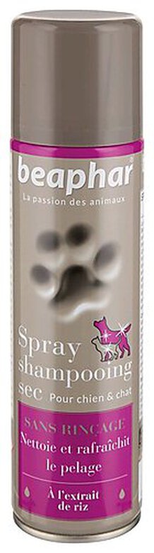 Beaphar - Spray Shampoing Sec pour Chiens et Chats - 250ml image number null