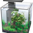 Superfish - Aquarium Equipé Qubiq Pro 30 pour Poisson - Noir image number null