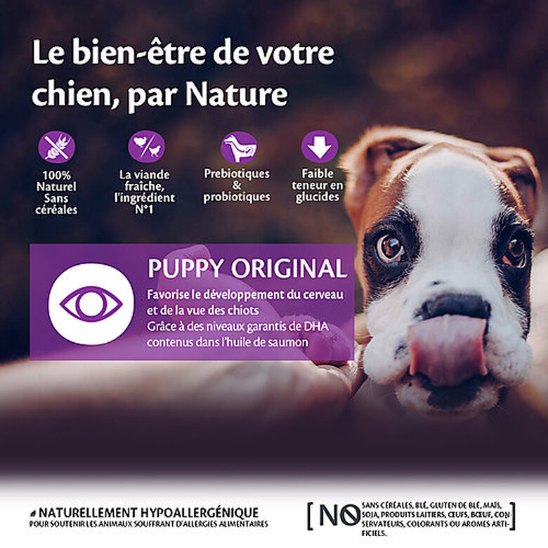 Wellness CORE - Croquettes Puppy Dinde et Poulet pour Chiot - 1,5Kg image number null